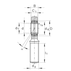 桿端軸承 GAL40-DO-2RS, 根據(jù) DIN ISO 12 240-4 標(biāo)準(zhǔn)，帶左旋外螺紋，需維護(hù)，兩側(cè)唇密封