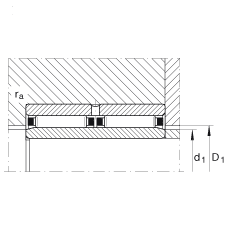 滾針軸承 NAO25X42X32-ZW-ASR1, 無擋邊，雙列