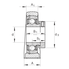 直立式軸承座單元 PASE60-N-FA125, 鑄鐵軸承座，帶偏心鎖圈的外球面球軸承，P 型密封，耐腐蝕保護